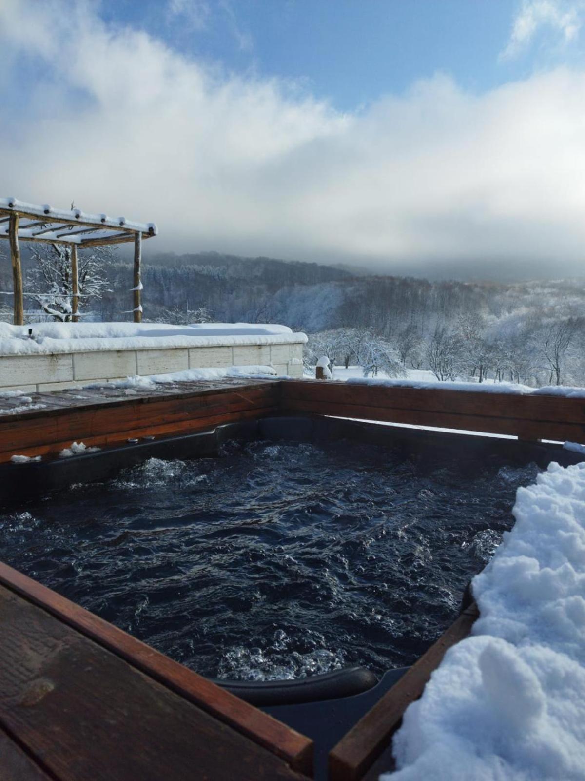 Le Chalet M - Cabana Cu O Panorama De Poveste. Surdesti  Luaran gambar